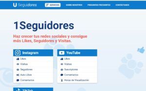 las opiniones según los usuarios que utilizan 1seguidores