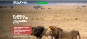 Los viajeros opinan sobre Bahary travels