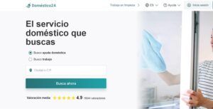 Los clientes opinan de doméstico24