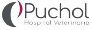 Opiniones reales sobre Puchol Hospital veterinario